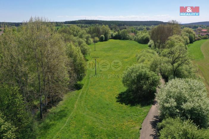 Prodej louky, Horní Bříza, U Kapličky, 4590 m2