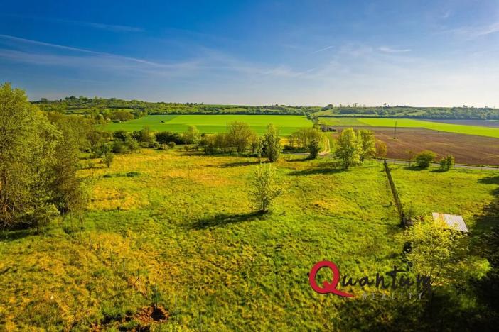 Prodej komerčního pozemku, Tišice, Mělnická, 6186 m2