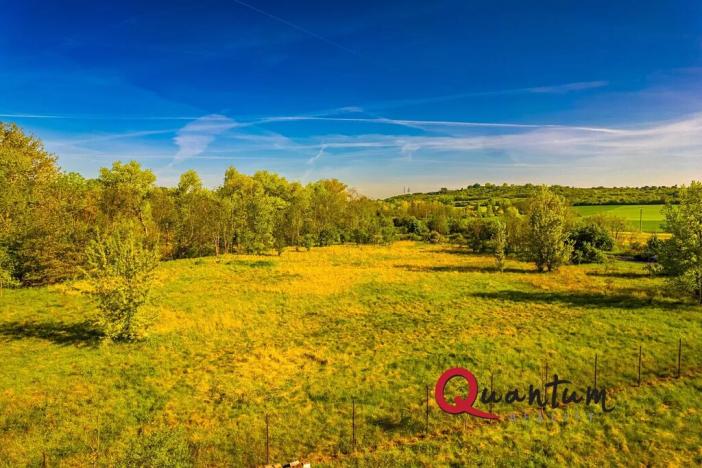 Prodej komerčního pozemku, Tišice, Mělnická, 6186 m2