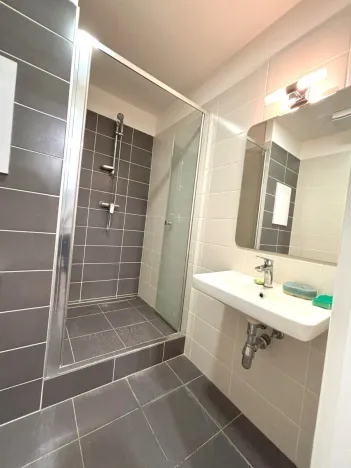 Pronájem bytu 1+kk, Plzeň - Bolevec, Manětínská, 26 m2