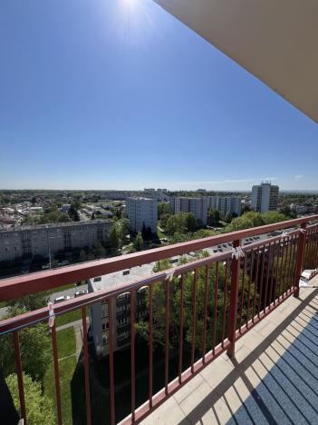 Prodej bytu 3+1, Pardubice - Bílé Předměstí, Na Drážce, 80 m2