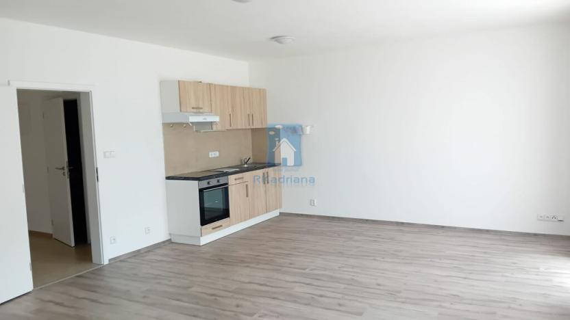 Pronájem bytu 1+kk, Plzeň, Rejskova, 54 m2