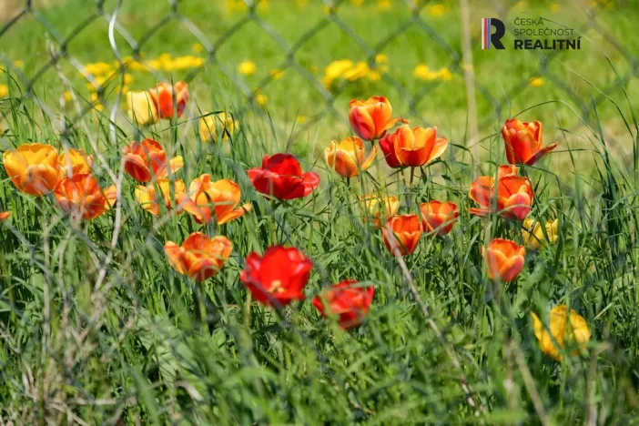 Prodej pozemku pro bydlení, Kryry, U Školky, 2314 m2