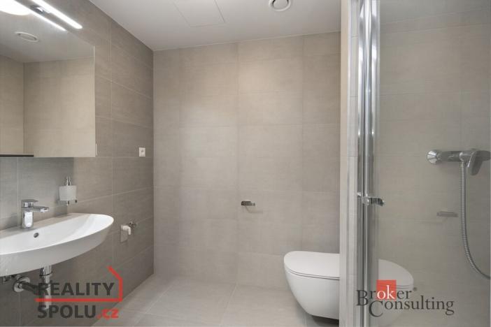 Pronájem bytu 1+kk, Plzeň - Východní Předměstí, Kartónová, 30 m2