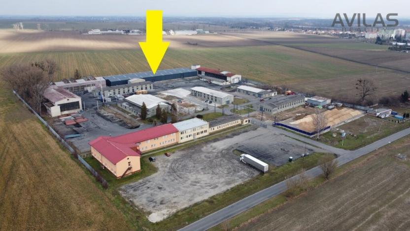 Pronájem výrobních prostor, Kojetín - Kojetín I-Město, náměstí Svobody, 1200 m2