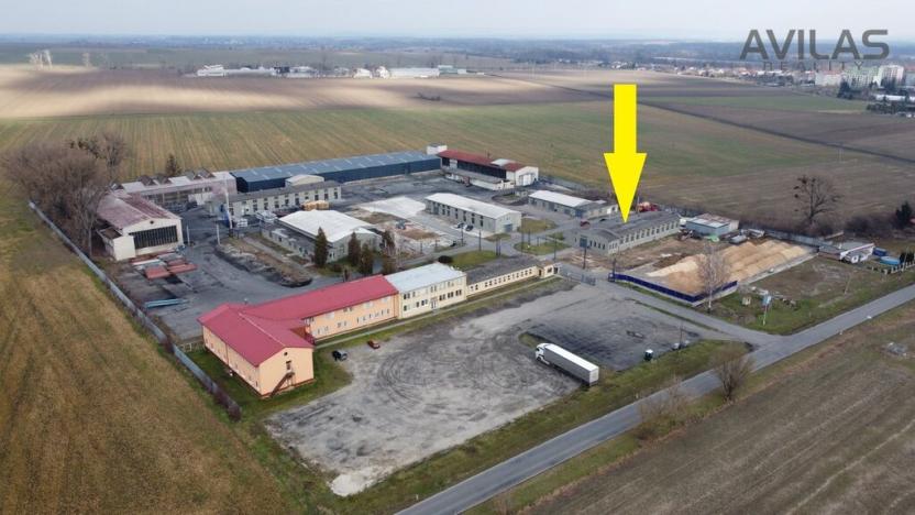 Pronájem výrobních prostor, Kojetín - Kojetín I-Město, náměstí Svobody, 1200 m2