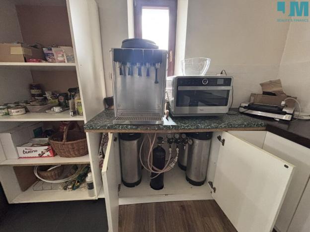 Prodej rodinného domu, Vladislav, 195 m2