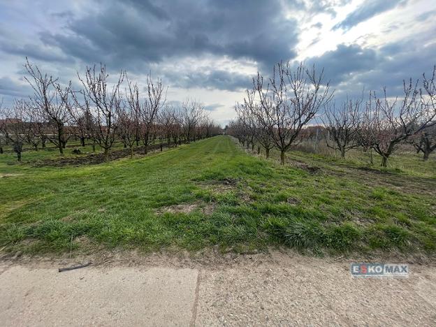 Prodej pozemku pro bydlení, Moravský Žižkov, 1491 m2