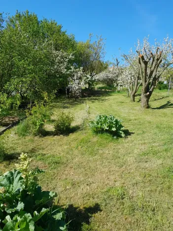 Pronájem zahrady, Běloky, 376 m2
