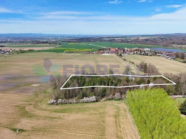 Prodej pozemku pro bydlení, Libníč, 6449 m2
