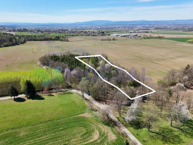 Prodej pozemku pro bydlení, Libníč, 6449 m2