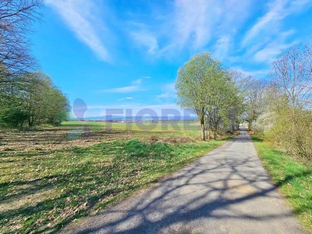 Prodej pozemku pro bydlení, Libníč, 6449 m2