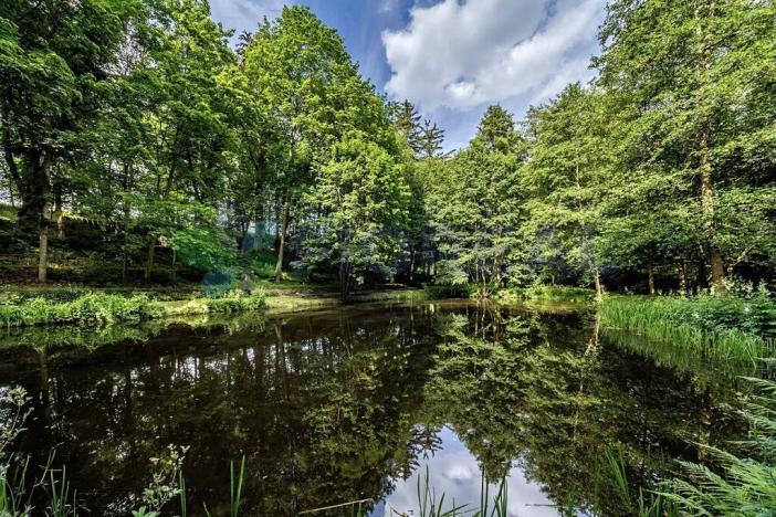 Prodej pozemku pro bydlení, Libníč, 6449 m2