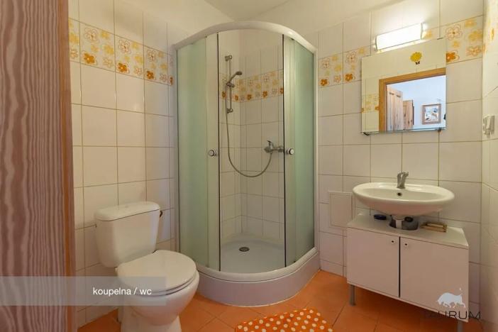 Prodej vícegeneračního domu, Chocenice, 280 m2