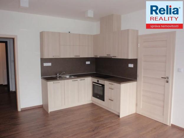 Pronájem bytu 2+kk, Liberec, Riegrova, 44 m2