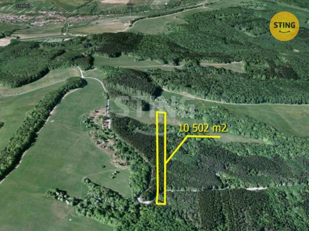 Prodej lesa, Suchá Loz, 10502 m2