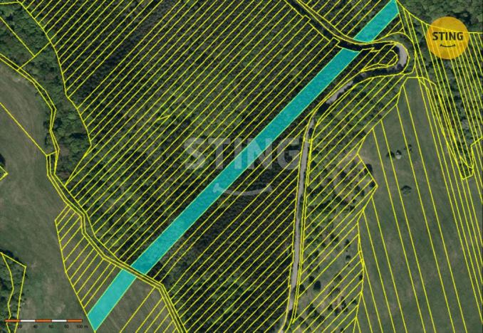 Prodej lesa, Suchá Loz, 10502 m2