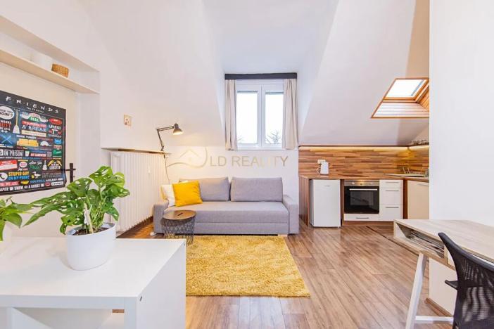 Pronájem bytu 1+kk, Olomouc, Krapkova, 25 m2