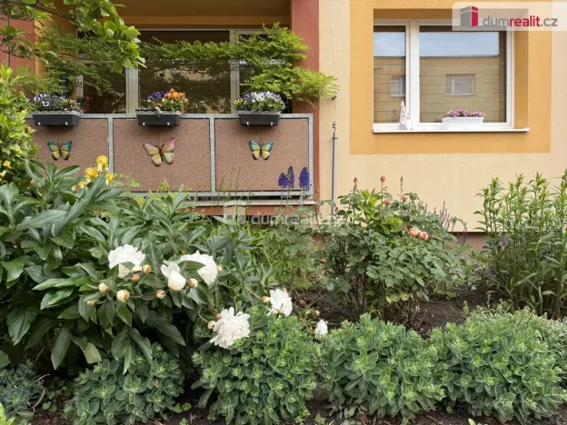 Pronájem bytu 1+1, Chlumec, Cyrilská, 36 m2