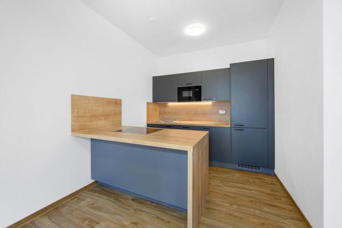 Pronájem bytu 1+kk, Plzeň - Severní Předměstí, Bolevecká, 40 m2