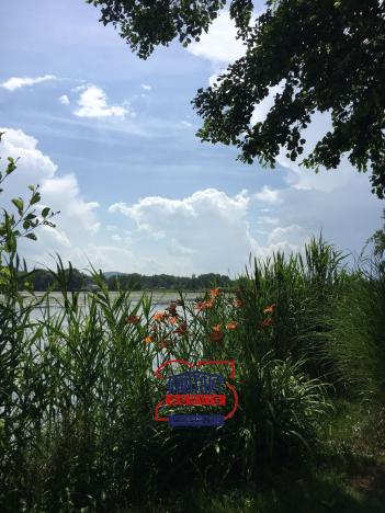 Pronájem chaty, Vodňany - Radčice, 45 m2