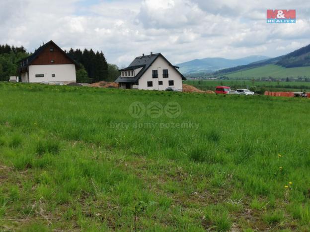 Prodej pozemku pro bydlení, Červená Voda, 1251 m2