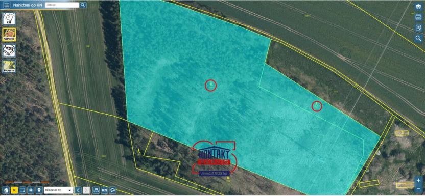 Prodej lesa, Bítouchov, 100105 m2