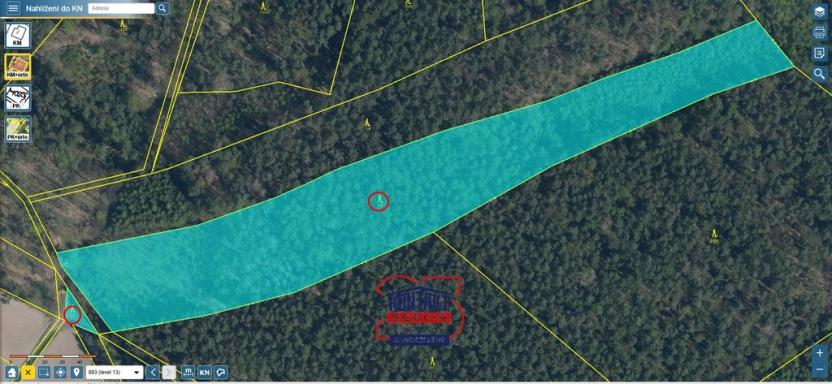 Prodej lesa, Bítouchov, 100105 m2