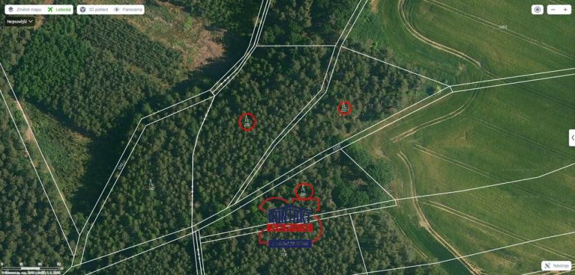 Prodej lesa, Bítouchov, 100105 m2