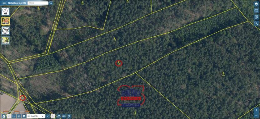 Prodej lesa, Bítouchov, 100105 m2