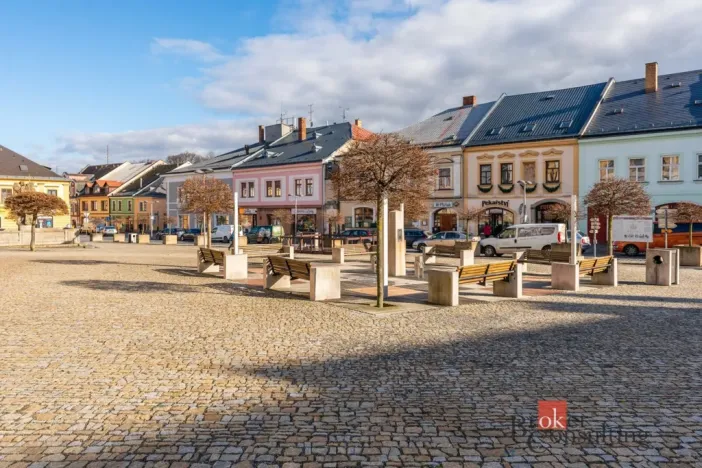 Prodej historického objektu, Polička - Polička-Město, Pálená, 700 m2