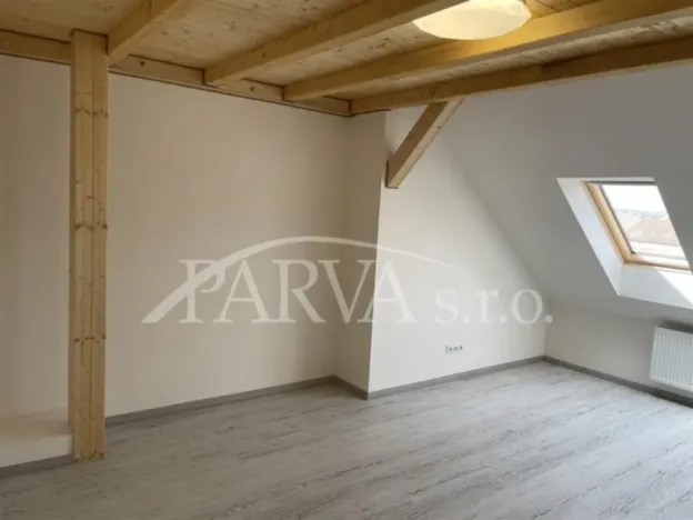 Pronájem bytu 3+kk, Plzeň - Jižní Předměstí, U Trati, 90 m2