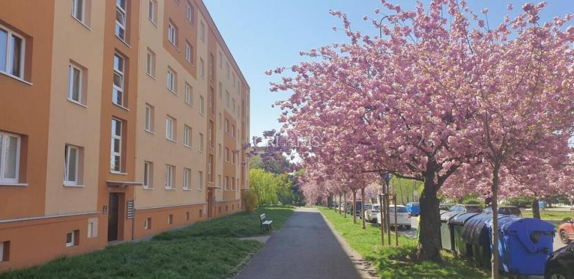 Prodej bytu 2+1, Most, Zdeňka Fibicha, 54 m2