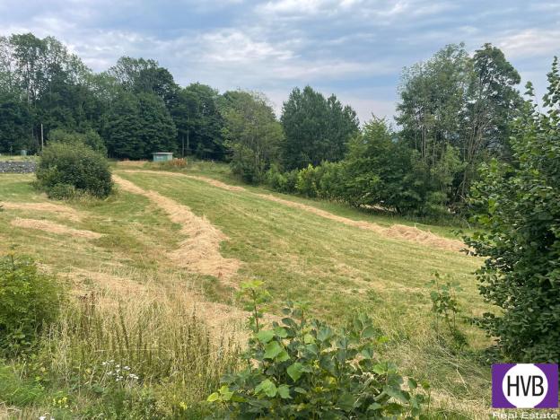 Pronájem pozemku pro bydlení, Velké Hamry, 4241 m2