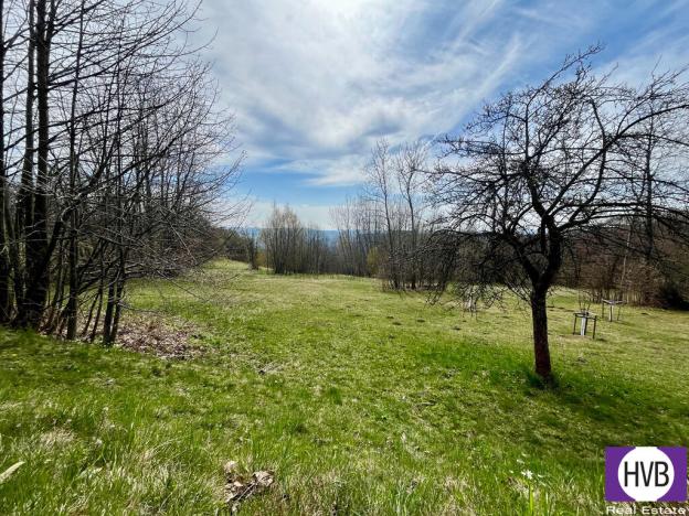 Pronájem pozemku pro bydlení, Velké Hamry, 4241 m2