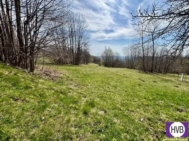 Pronájem pozemku pro bydlení, Velké Hamry, 4241 m2