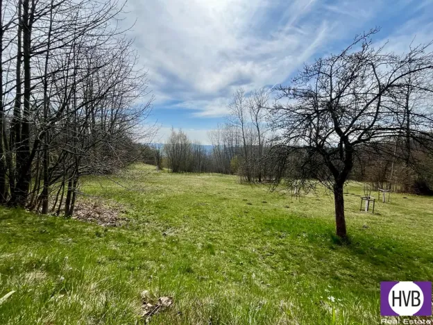 Pronájem pozemku pro bydlení, Velké Hamry, 4241 m2