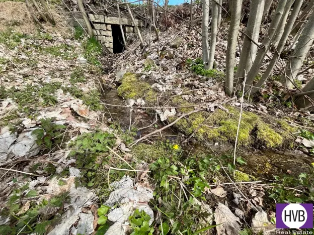 Pronájem pozemku pro bydlení, Velké Hamry, 4241 m2