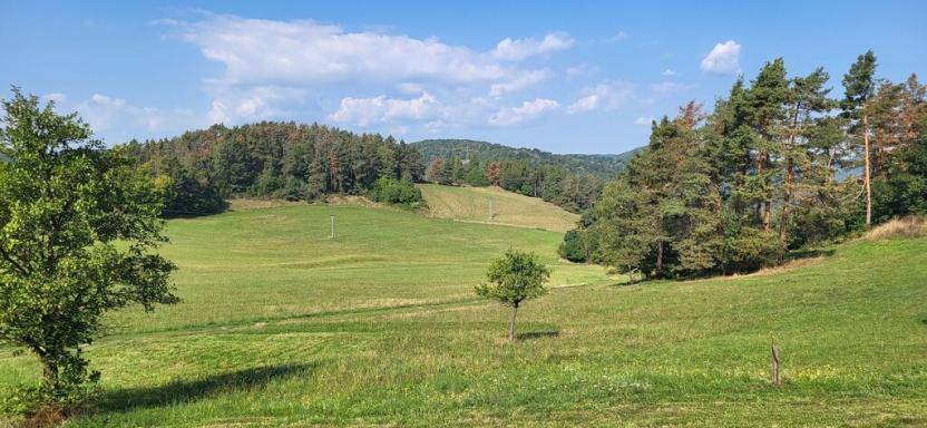 Prodej pozemku, Milešov - Přední Chlum, 544 m2