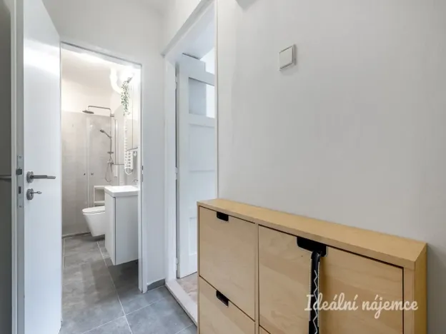 Pronájem bytu 1+kk, Praha - Smíchov, Holečkova, 35 m2