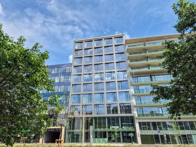 Pronájem obchodního prostoru, Brno - Staré Brno, Nové sady, 310 m2