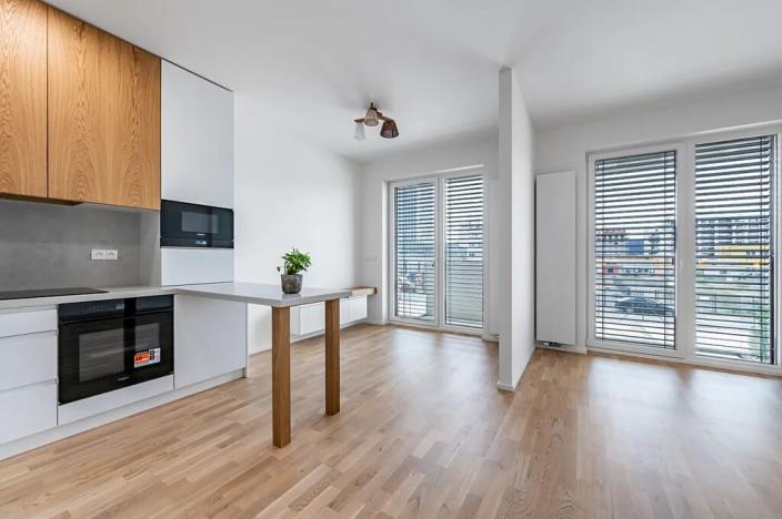 Pronájem bytu 1+kk, Praha - Vysočany, Fafkových, 39 m2
