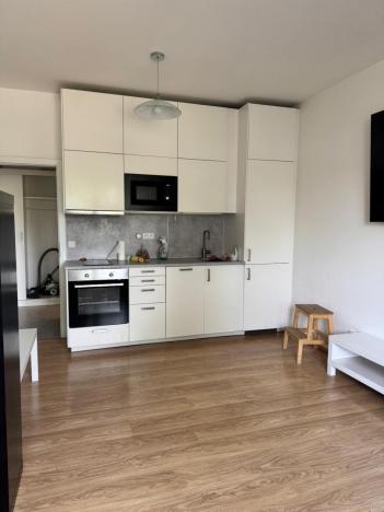 Pronájem bytu 2+kk, Praha - Holešovice, 50 m2