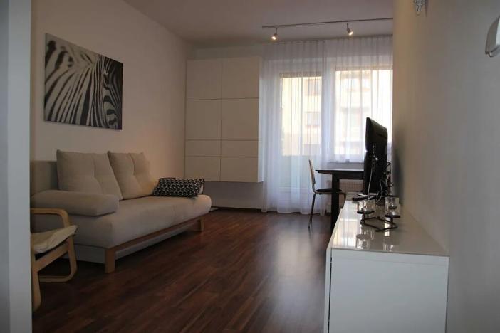 Pronájem bytu 1+kk, Brno, U Leskavy, 38 m2