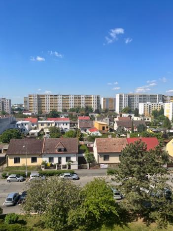 Pronájem bytu 1+kk, Hradec Králové - Nový Hradec Králové, Brožíkova, 35 m2