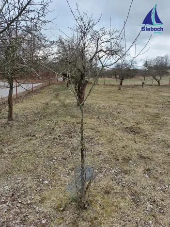 Prodej pozemku pro bydlení, Pečice, 5184 m2