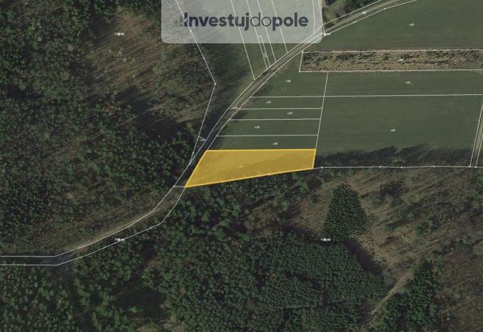 Prodej pole, Albrechtice nad Vltavou - Jehnědno, 2926 m2