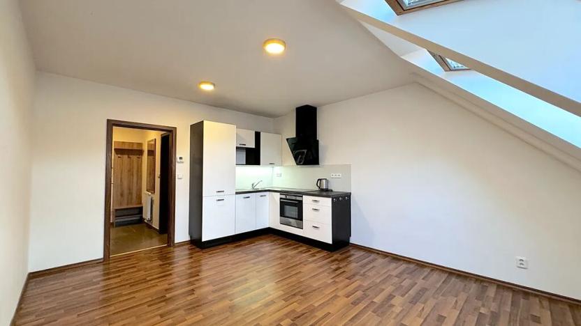 Pronájem bytu 1+kk, Brno, Pekařská, 30 m2