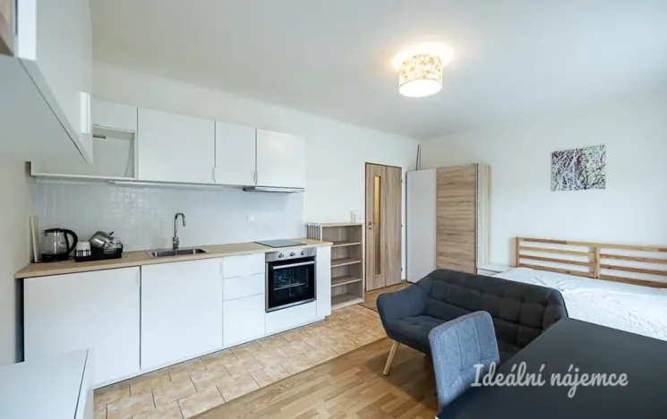Pronájem bytu 1+kk, Šestajovice, Komenského, 25 m2