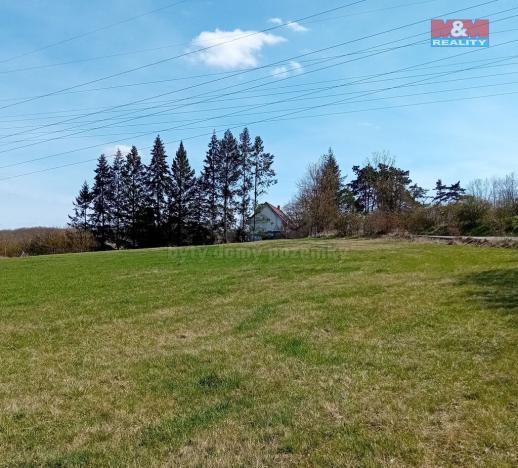 Prodej louky, Vráž, 4400 m2
